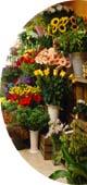 L'Agapanthe, artisan fleuriste - Thoiry